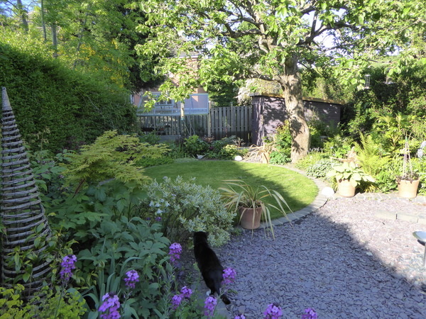 Rough winds do shake the darling buds of May: Alternative potting shed thread