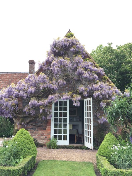 Rough winds do shake the darling buds of May: Alternative potting shed thread