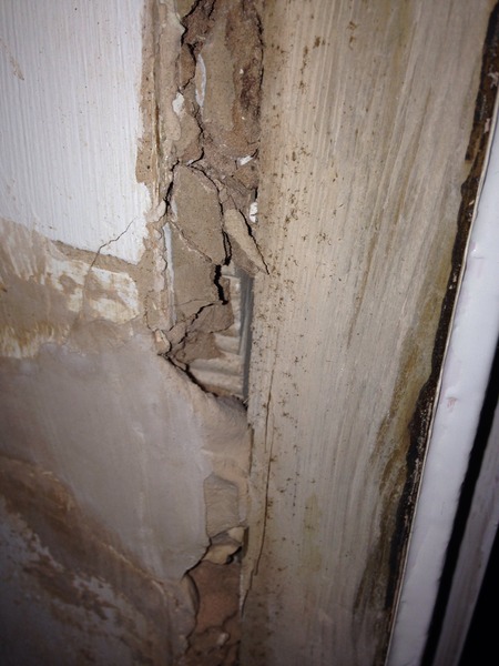 Anyone able to identify what this is in my wall?