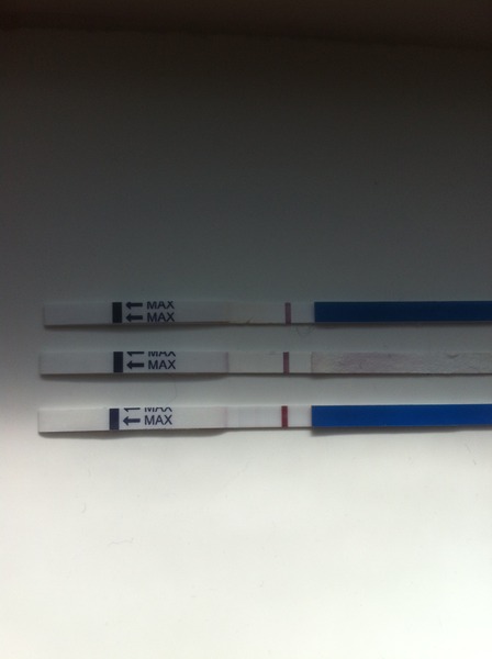 Sod the elections we want erections! We're hoping our miroids will deposit their seed in our lady gardens, and we'll all end up growing giblets. Come and join us on our magical new bedsheets, it's Jus