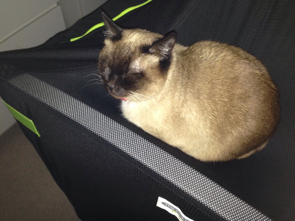 April 2015 - The babies are arriving thick and fast