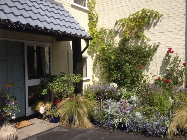 Advice please on what colours for back of house (outside)