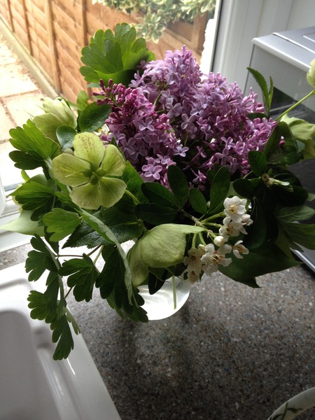 "In the spring, at the end of the day, you should smell like dirt."  This month's discussion in the potting shed.