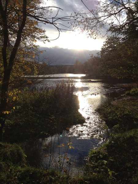 Week 3 - May Low Carb Bootcamp - you've survived the first fortnight!