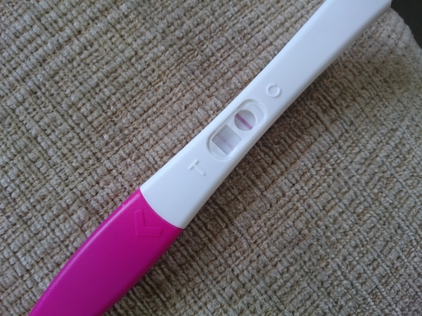 We may be rude, some call us crude, but noone can deny, when times get tough or you're feeling rough, on the Viroids you can rely.Among the laughs this bunch of dafts will pick you up each time -JS 48