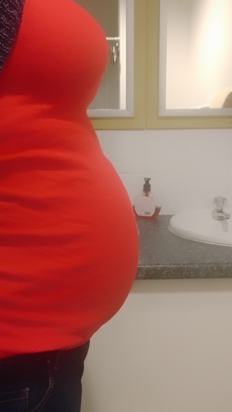 November 2015 mums to be! Here we are! Our bus is decorated with scan pics, our appetites are beginning to heal, and spring is in the air!