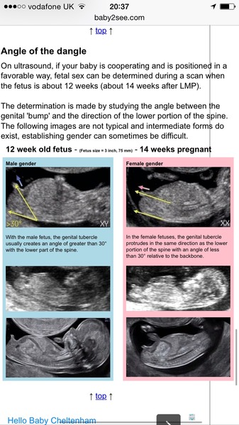 nub test- gender predictors