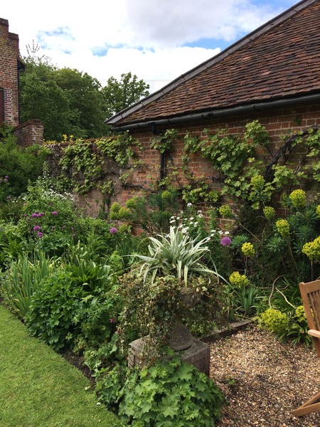 Rough winds do shake the darling buds of May: Alternative potting shed thread