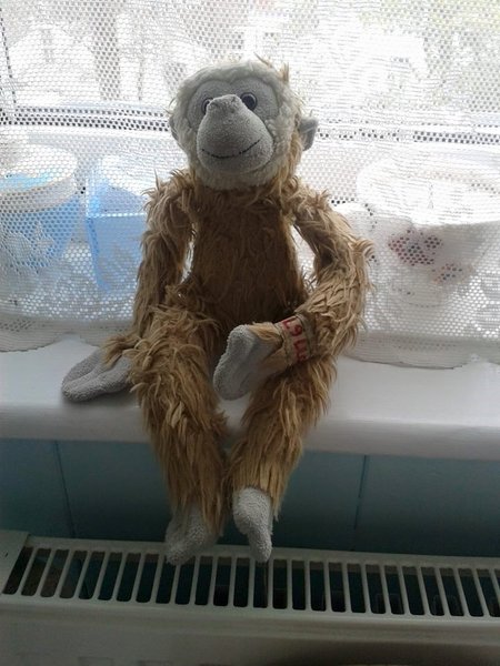 lost toy gibbon/ monkey