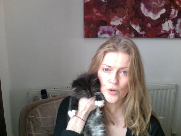 Our lovely new kitten / advice on food