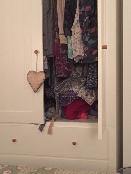 I can't find my cat anywhere (lighthearted)