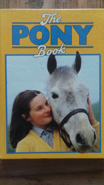 Long shot - trying to identify a pony book from my childhood!