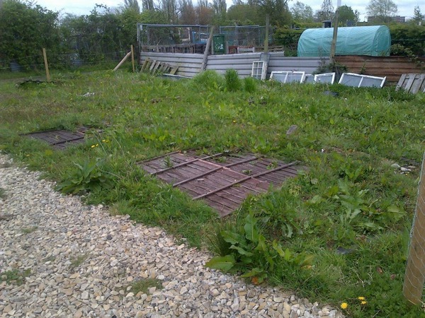 The 2015 Allotment / Veg Patch Thread Part 2