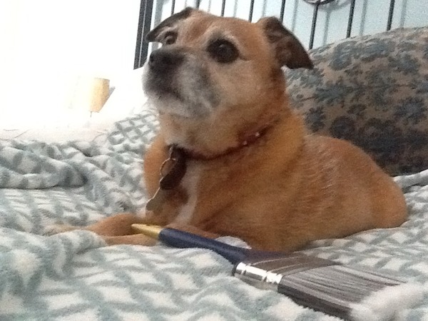 HOBBIT'S BAR - still finding it hard to move on...part 6.