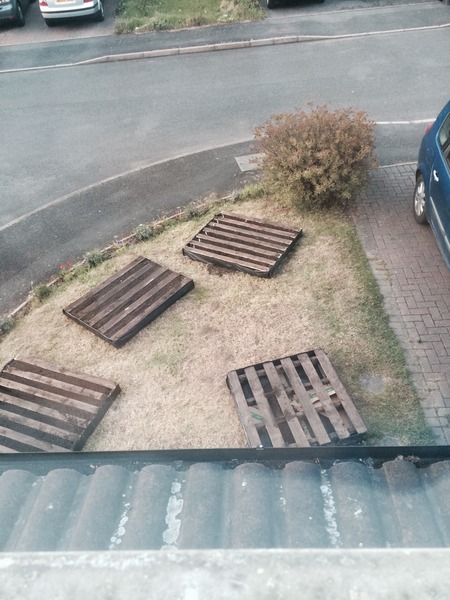 The 2015 Allotment / Veg Patch Thread Part 2