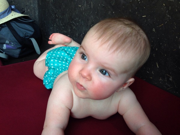 November 2014 - The one where they won't stay still.