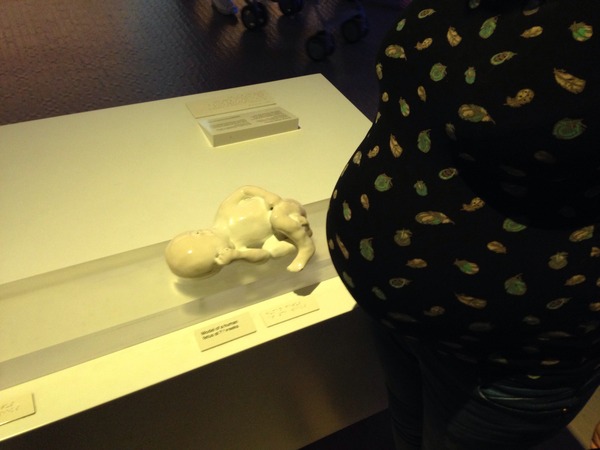 We'd rather have a finger than a funnel whilst eating our bodyweight in Raspberry Magnums to ease the fanny daggers... keep growing those babies viroids, its JS Grads no 27