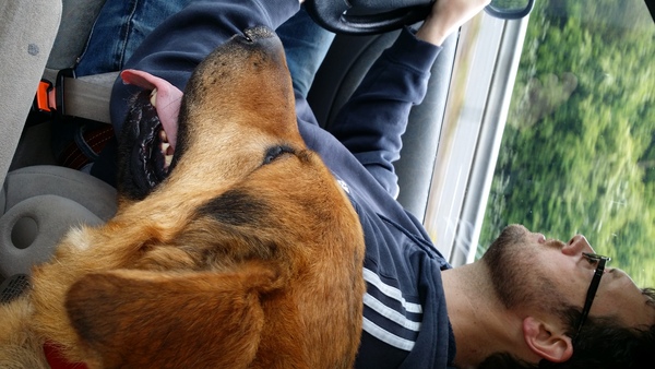 What sort of dog?