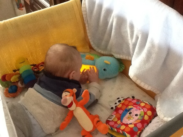 November 2014 - The one where they won't stay still.