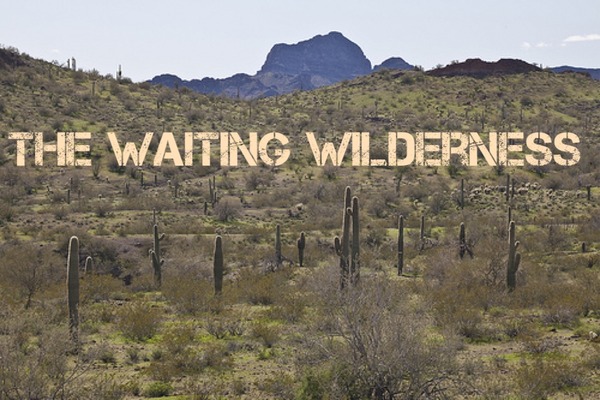 Bumsnetters with Angry Pubes