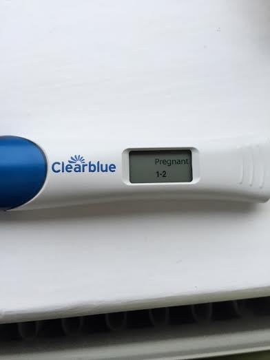 Sod the elections we want erections! We're hoping our miroids will deposit their seed in our lady gardens, and we'll all end up growing giblets. Come and join us on our magical new bedsheets, it's Jus