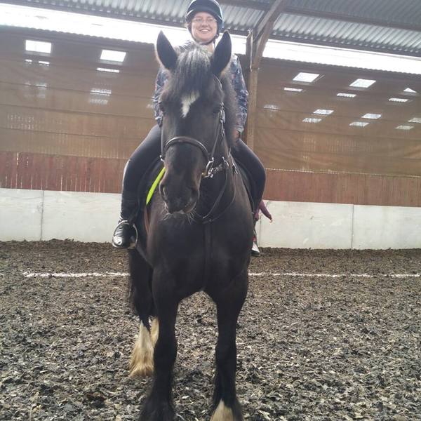 I had my first riding lessons this weekend in at least 15 years!