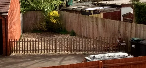 The 2015 Allotment / Veg Patch Thread Part 2