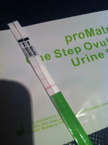 We may all have the --rabies-- crazies, but we don’t need no ‘hints’ thanks!  Grab yourself a (small) cider, get your sex towels at the ready, it’s Just Shagging 47!