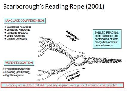 Yr 1 reading/phonics