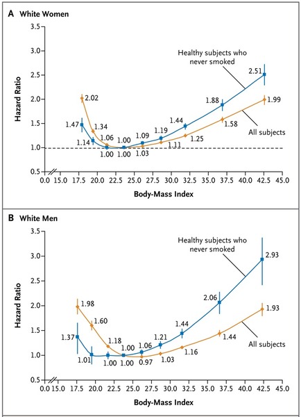 IF / ADF / 4:3 / 5:2 / 6:1 / 16:8 ~ Maintaining at a healthy weight ~ Chapter 5