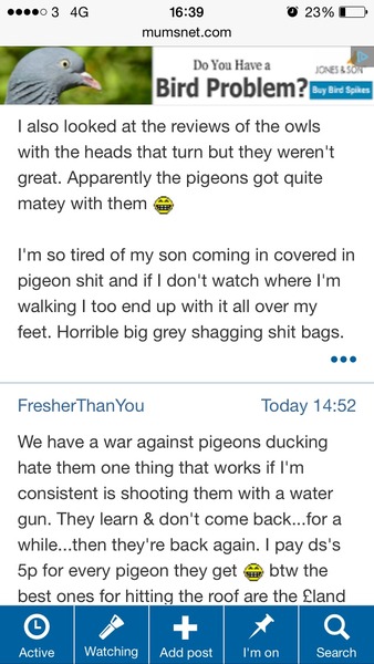 to want to slap pigeon lady