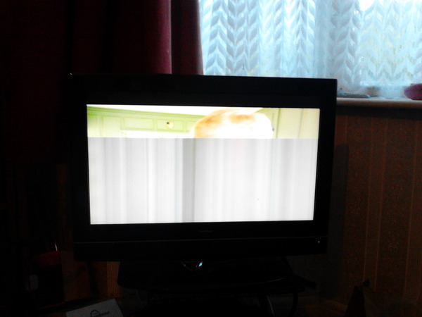 HELP!  What's my daughter done to the TV?  Is it safe to have in the front room?