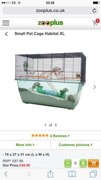 Tell me about gerbils please