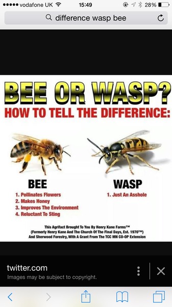 Aibu to be proud i remembered mn advice and feed a hungry bee