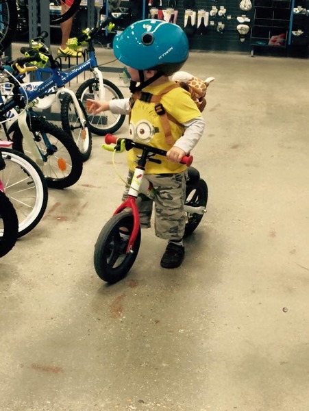 June 2013: Here come the terrible twos!