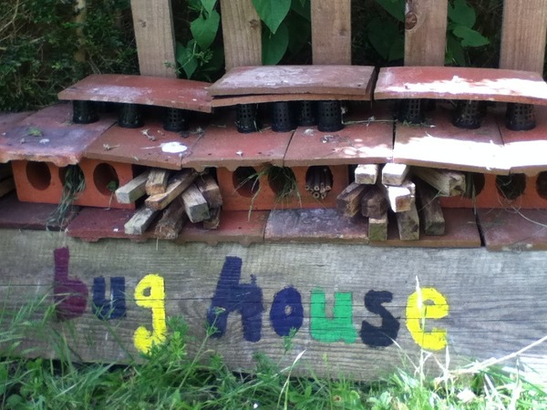 A photo of our bug house, as requested!