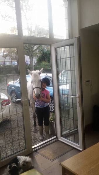 Do you prefer keeping your horses at home, or on a yard?