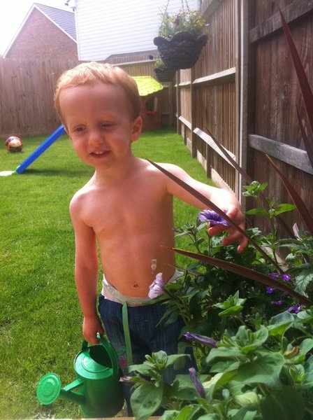Struggling with an 8 month with oral aversion