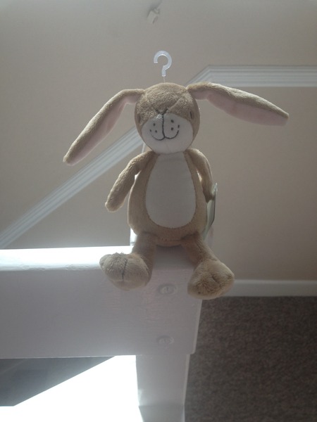 November 2015 mums to be! Here we are! Our bus is decorated with scan pics, our appetites are beginning to heal, and spring is in the air!