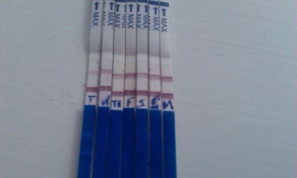 January 2016 Babies - anyone else out there?