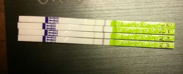 BUMSNET - where bums (and hopes) are raised in the quest for a BFP.