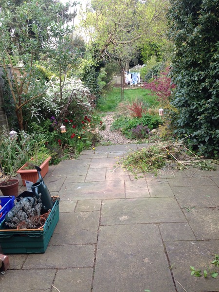 I've just had a fight with the garden and lost :(