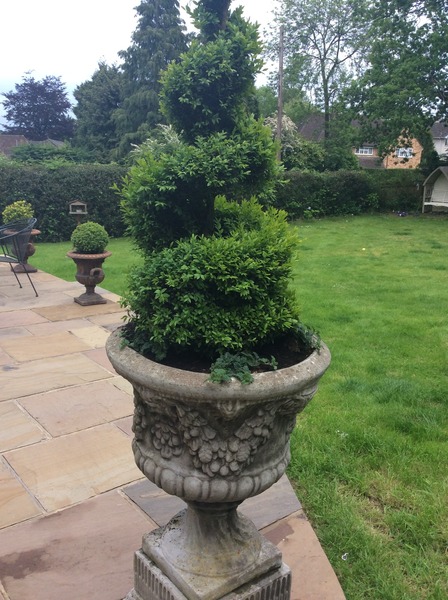 Rough winds do shake the darling buds of May: Alternative potting shed thread