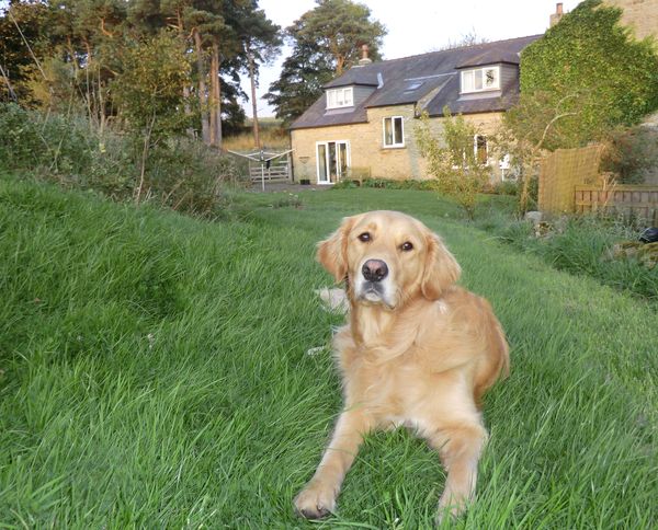 Relocating from Northumberland and our beautiful house is available