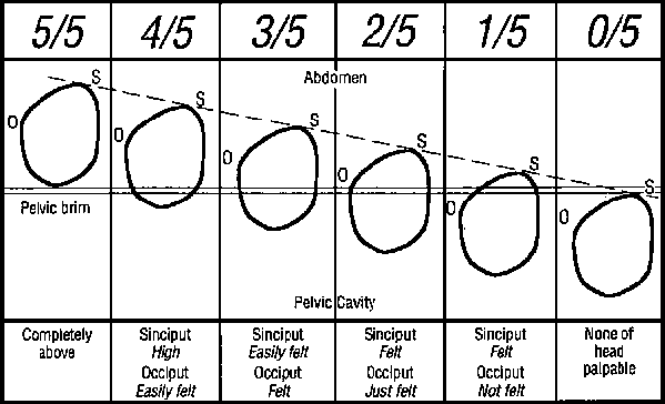 May 2015 - Thread 9 - Babies coming thick and fast