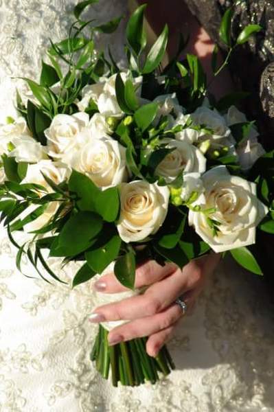 Flowers? I have no idea