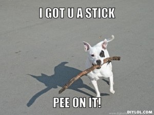 BUMSNET - where bums (and hopes) are raised in the quest for a BFP.