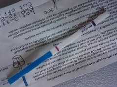 We may be rude, some call us crude, but noone can deny, when times get tough or you're feeling rough, on the Viroids you can rely.Among the laughs this bunch of dafts will pick you up each time -JS 48