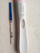 Don't mess with the Bumsnetters they have Angry Pubes!