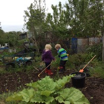 The 2015 Allotment / Veg Patch Thread Part 2